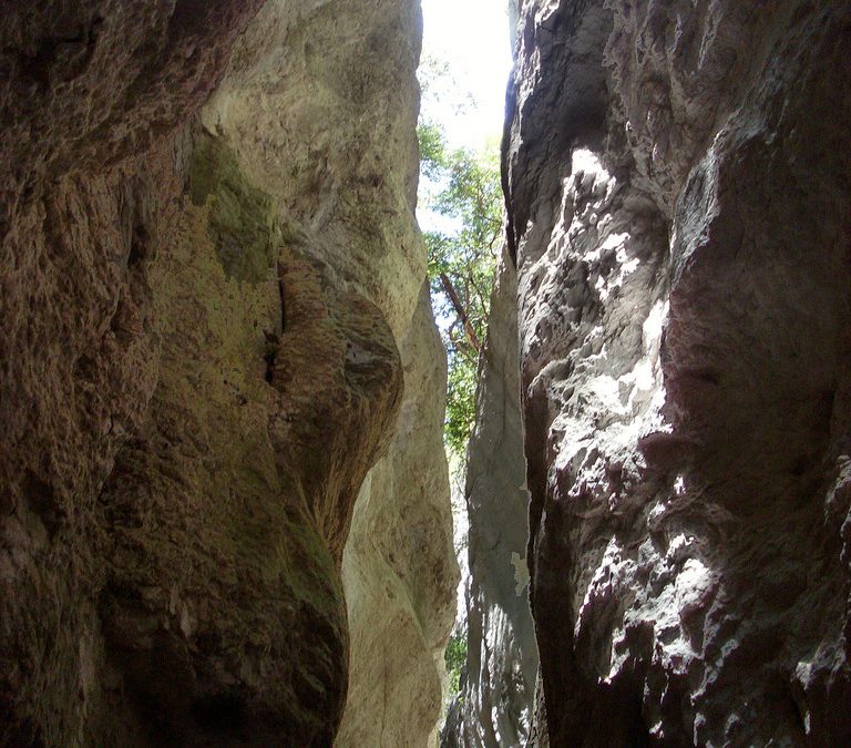 Notre randonnée coup de coeur : les gorges du Régalon
